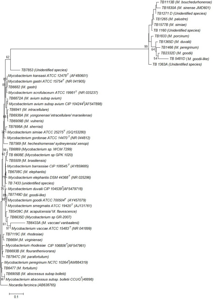 Figure 2