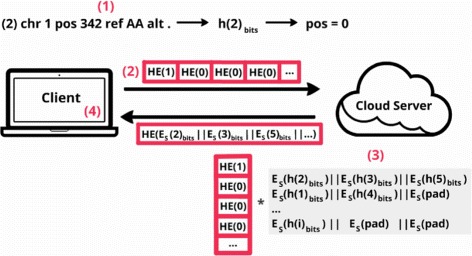 Fig. 4