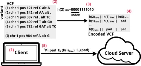 Fig. 3