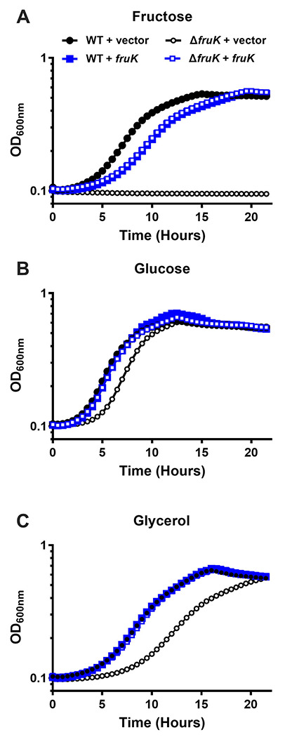 Figure 6.