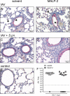 FIG 6