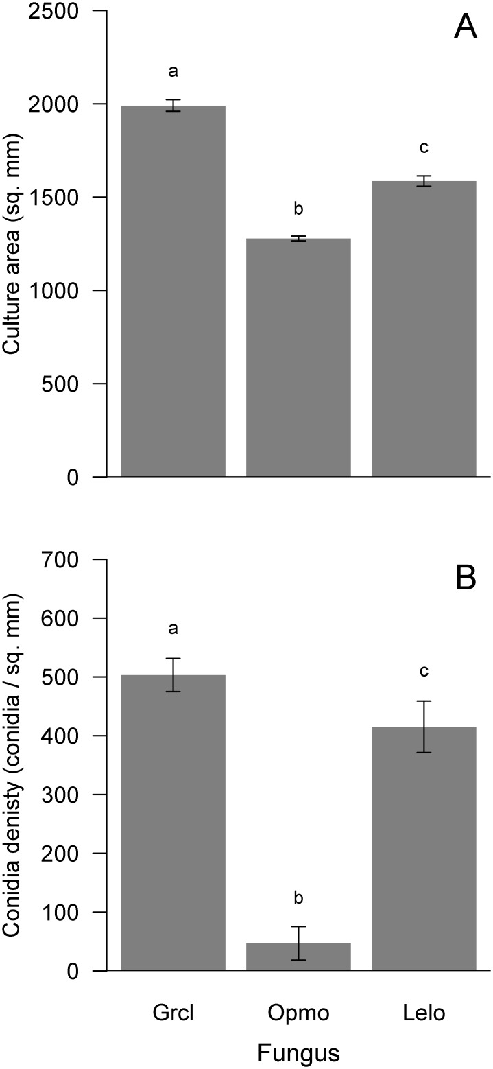 Fig 5