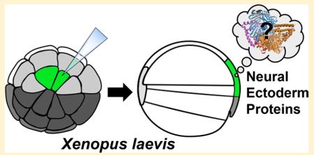 graphic file with name nihms-981138-f0001.jpg