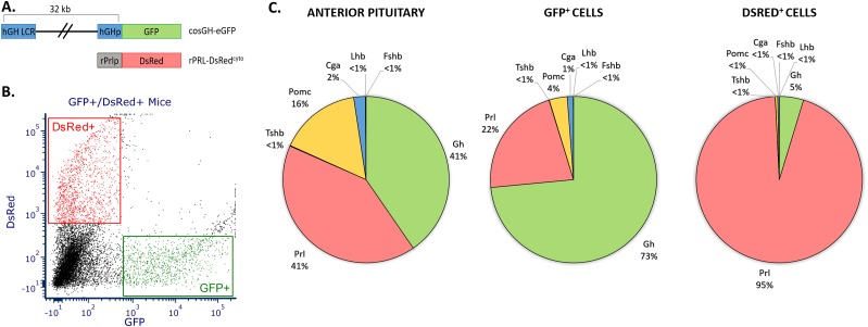 Figure 1.