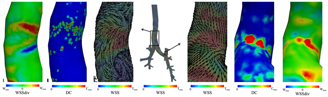 Figure 11: