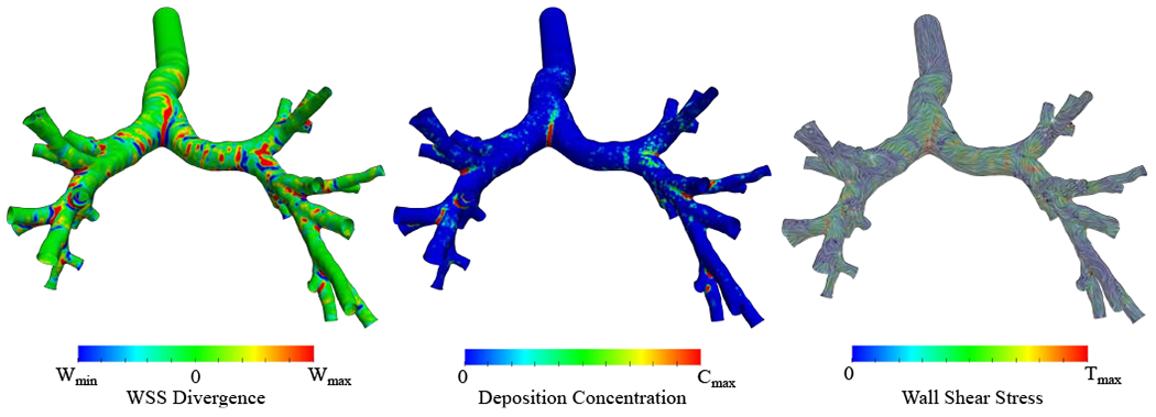 Figure 3: