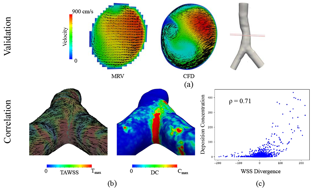 Figure 10: