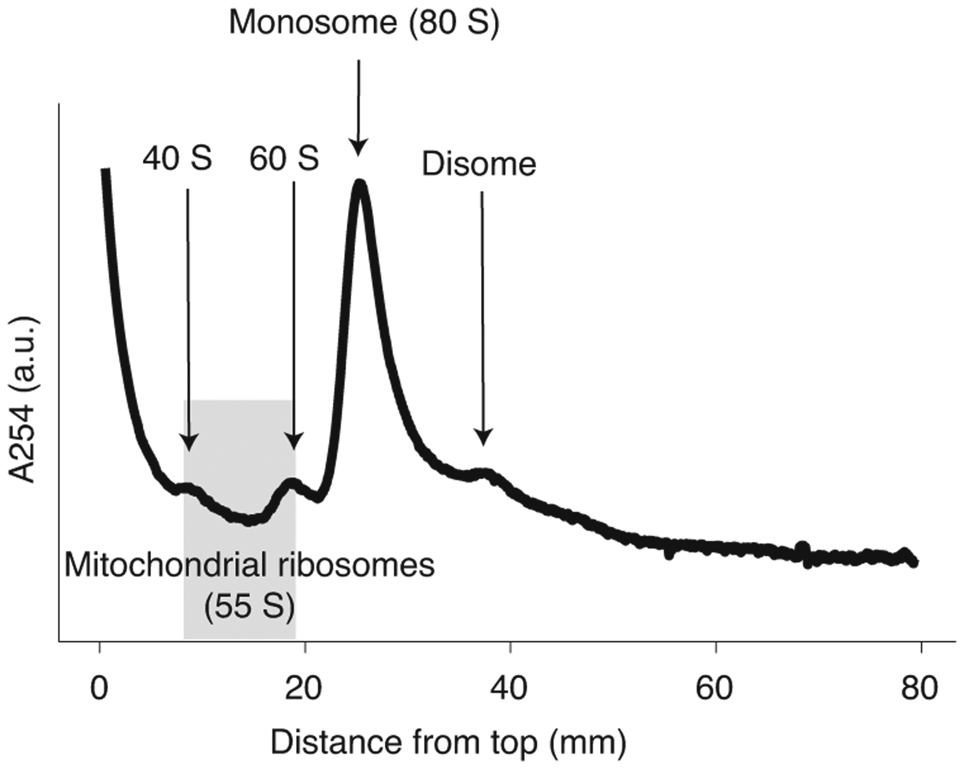 Fig. 2 |