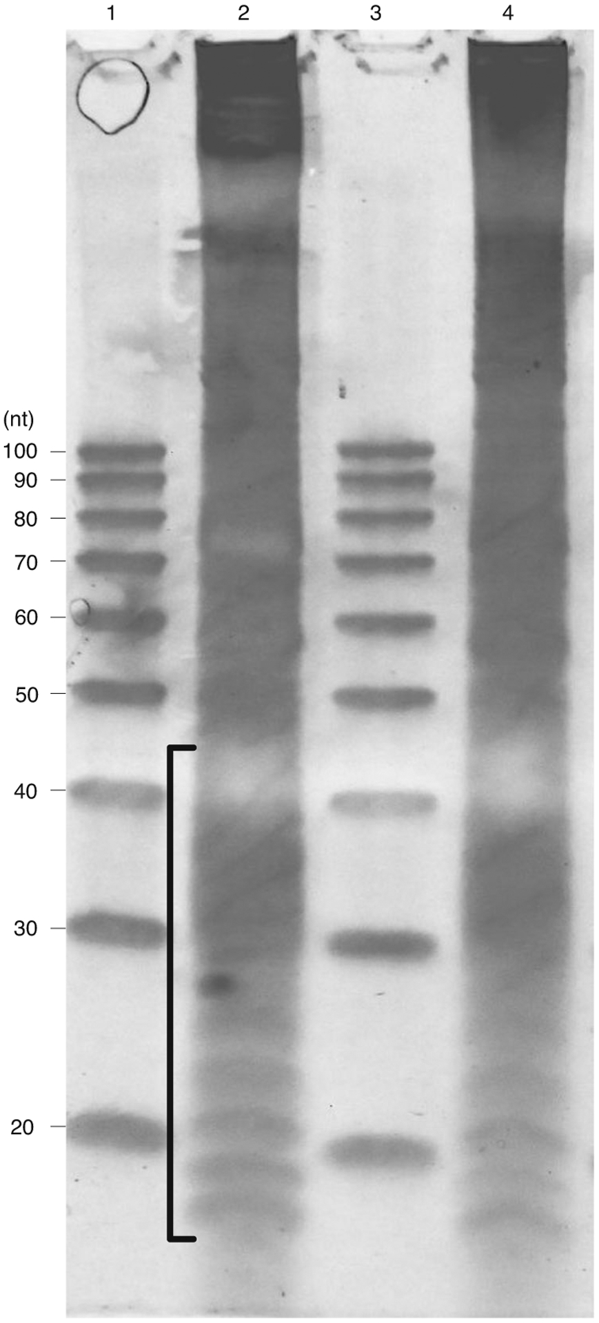 Fig. 3 |