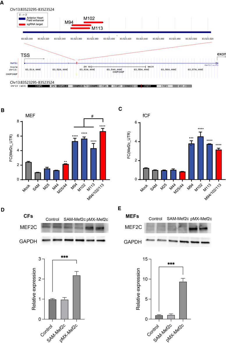 Figure 3