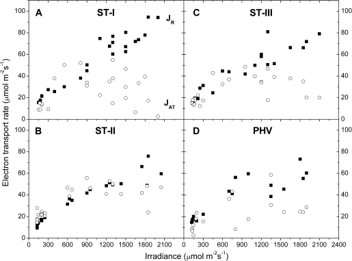 Fig. 10.