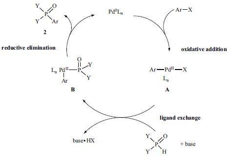 Scheme 2