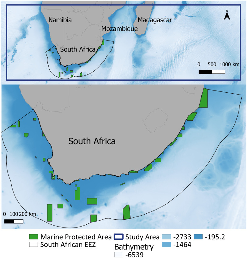 Species distribution modelling of Bryde’s whales, humpback whales ...