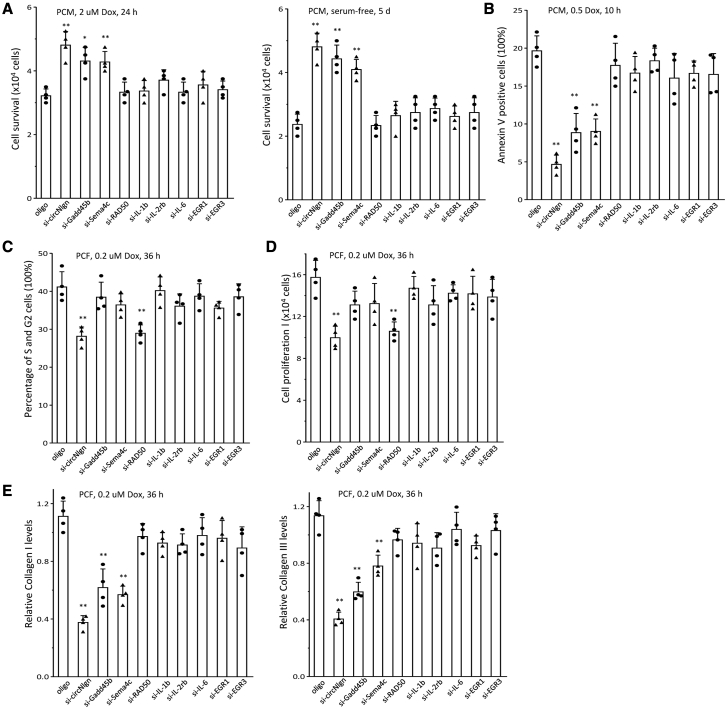 Figure 7