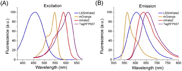 Fig. 2