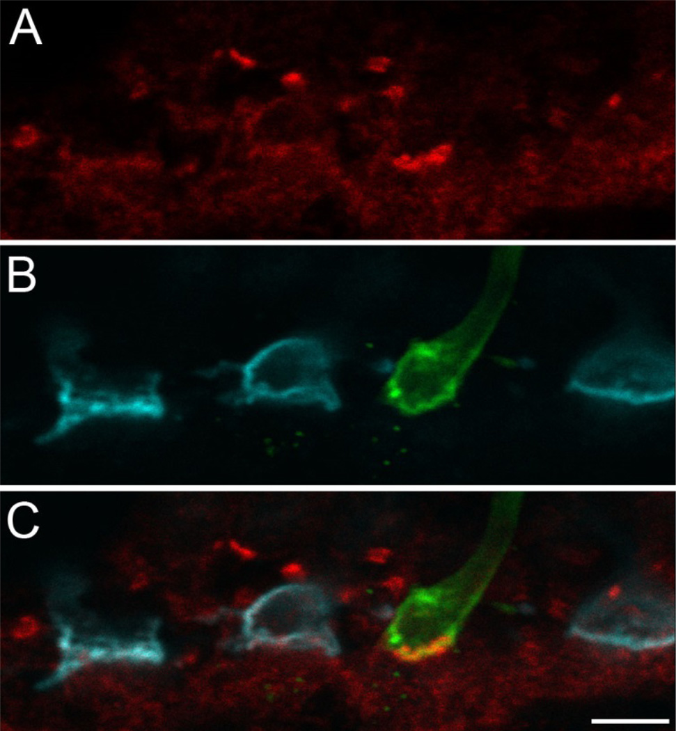 Fig. 2