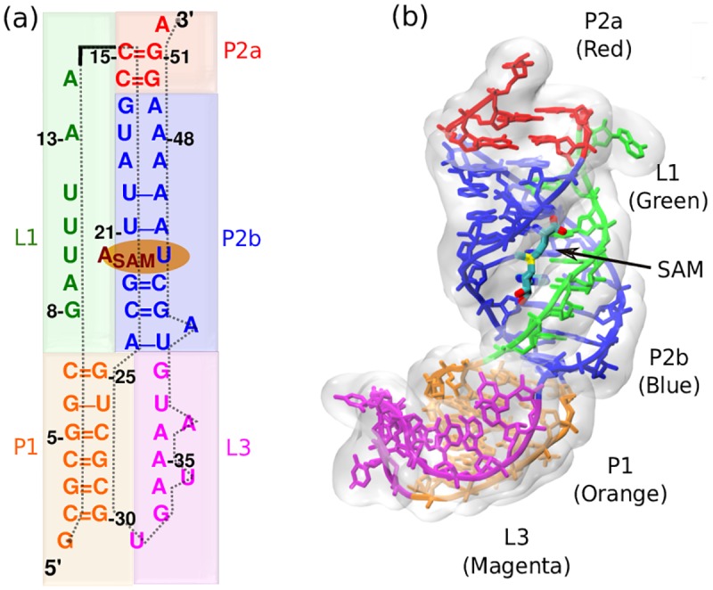 Fig 1