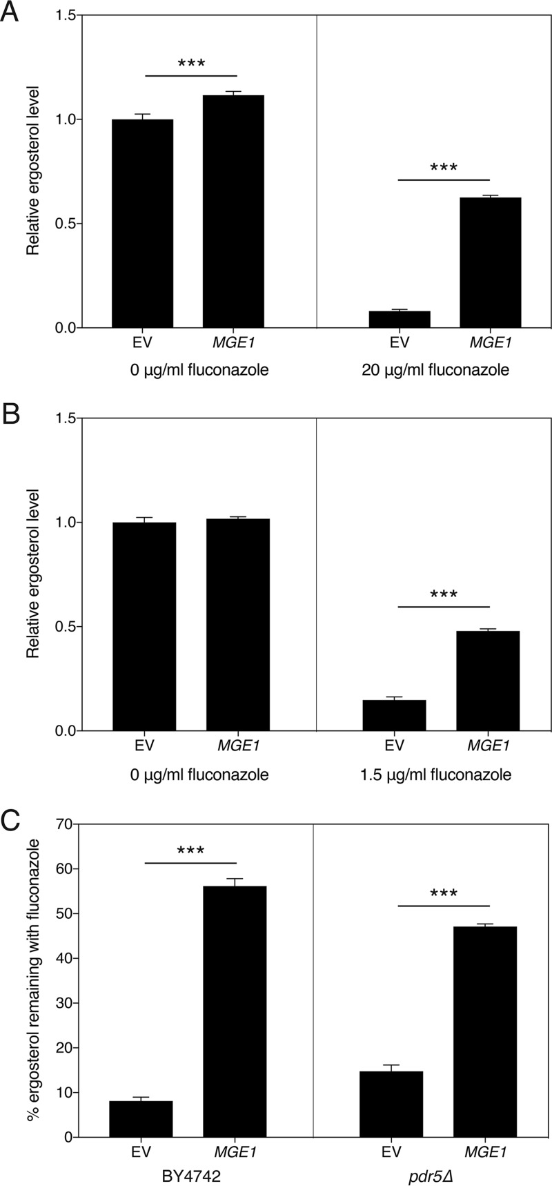 FIG 2 