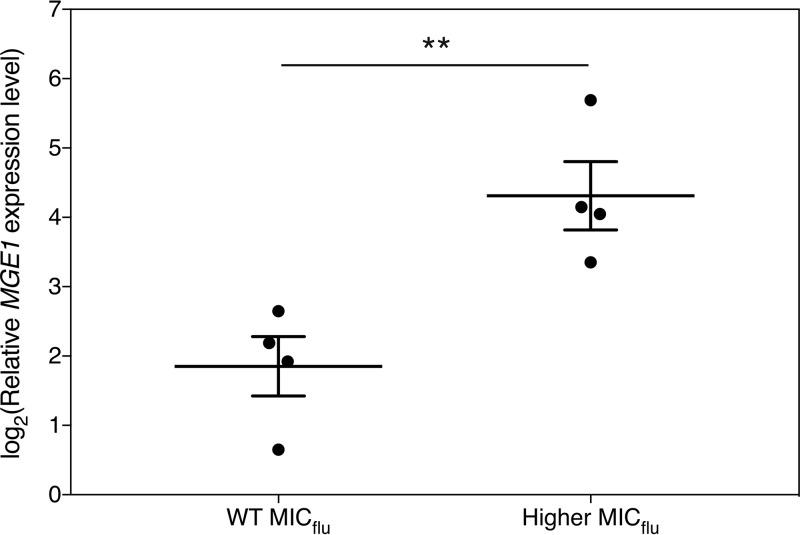 FIG 6 