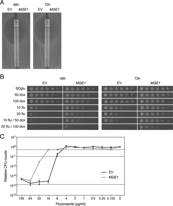 FIG 1 