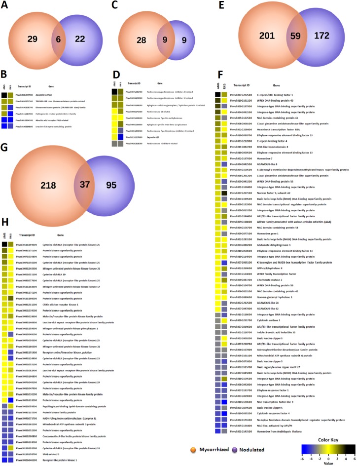 Fig 5