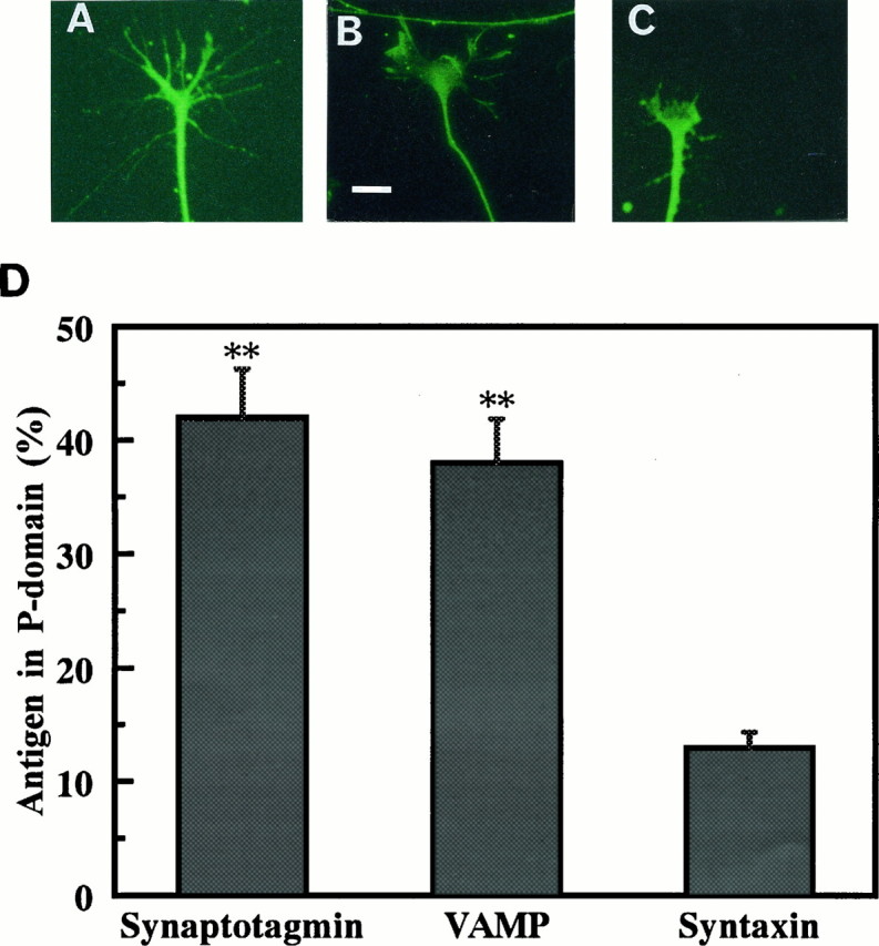 Fig. 8.