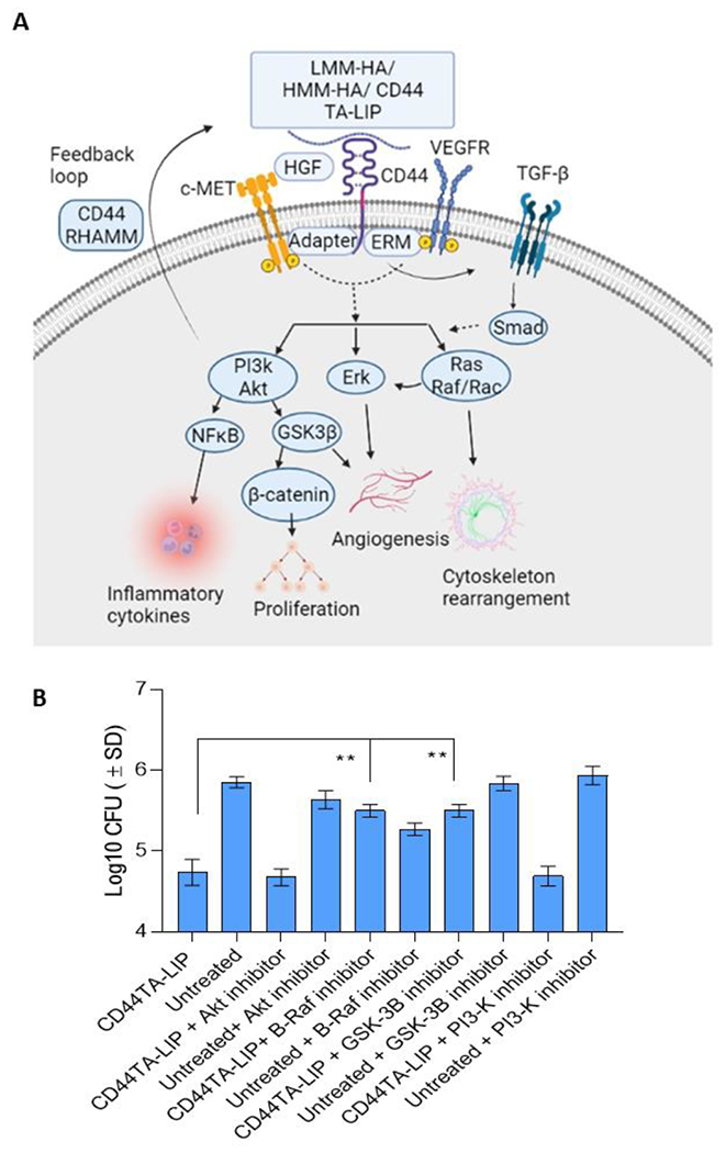 Figure 4: