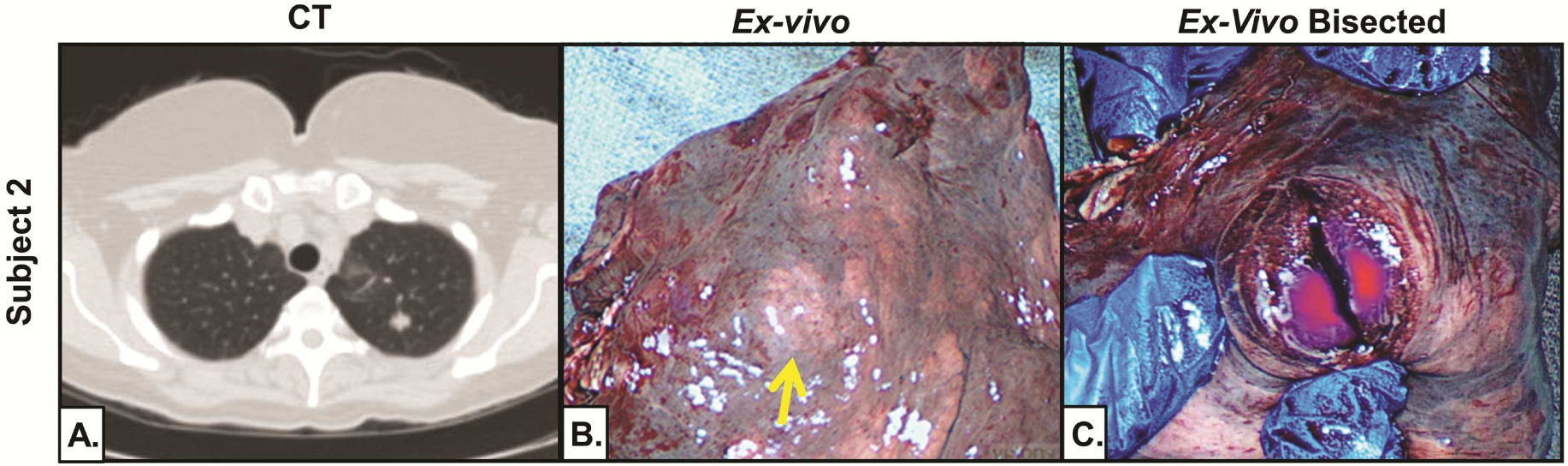 Figure 3: