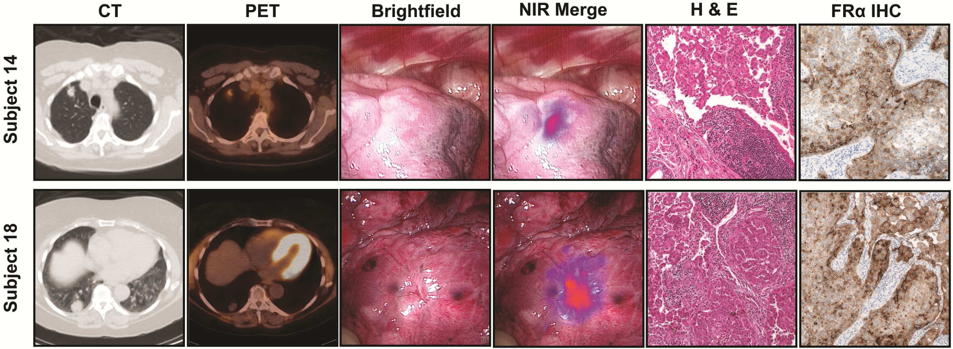 Figure 2: