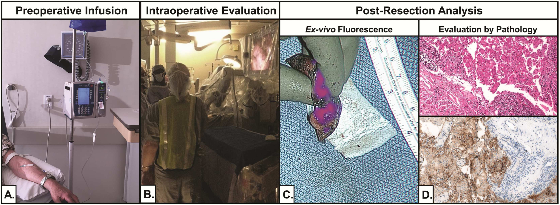 Figure 1: