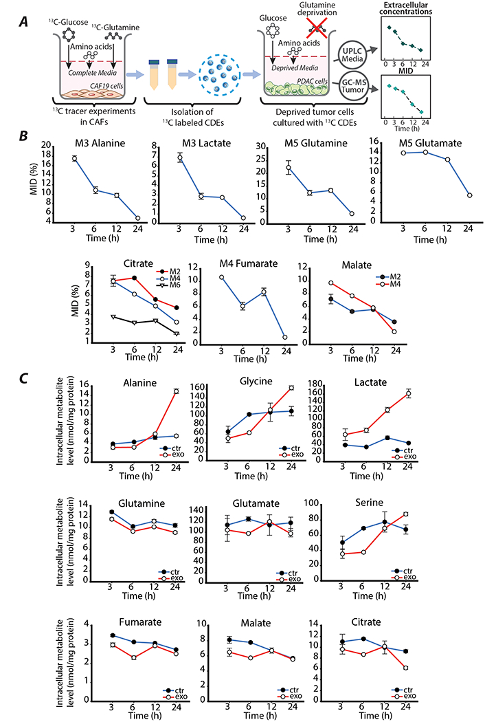 Figure 4: