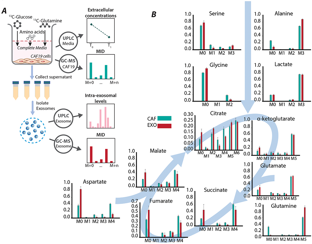 Figure 2: