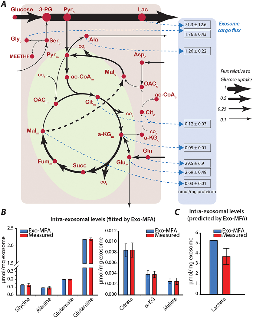 Figure 3: