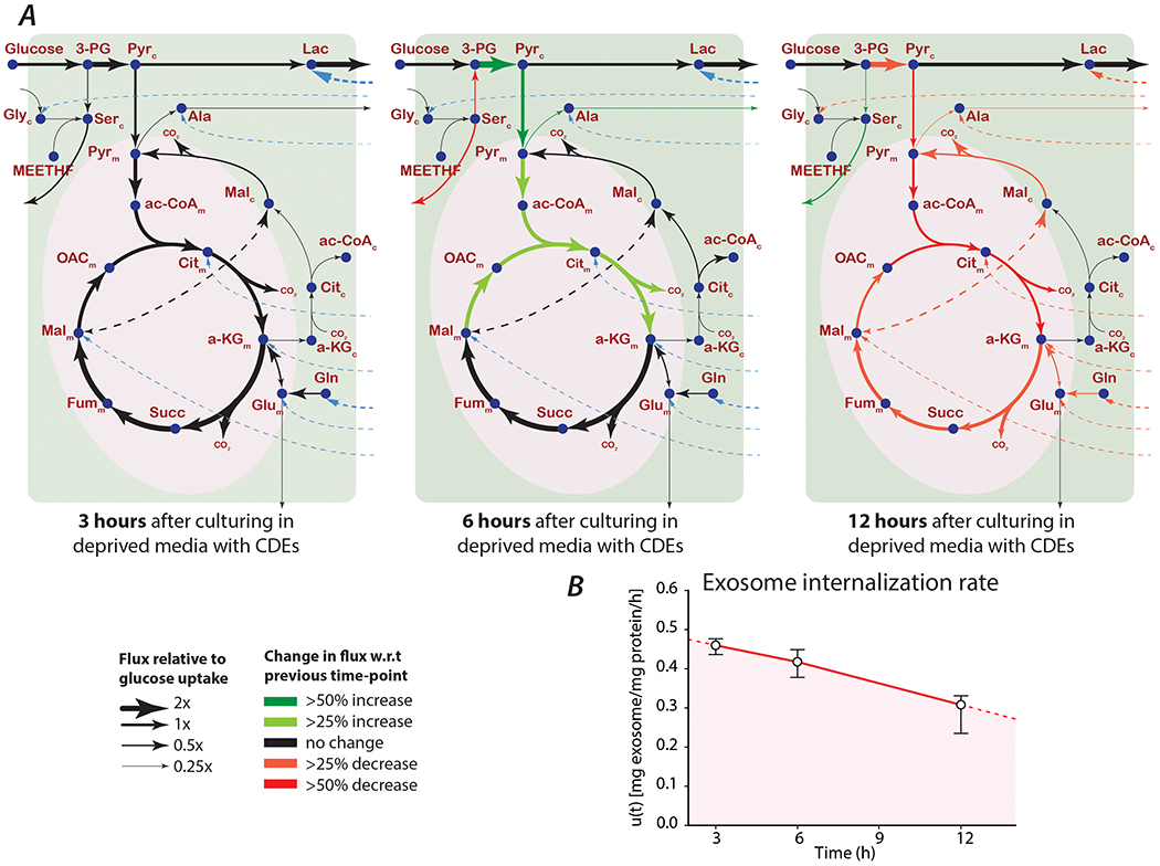 Figure 5: