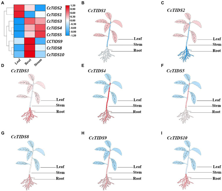 Figure 5