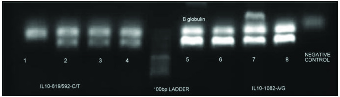 [Table/Fig-2]: