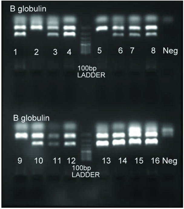 [Table/Fig-3]: