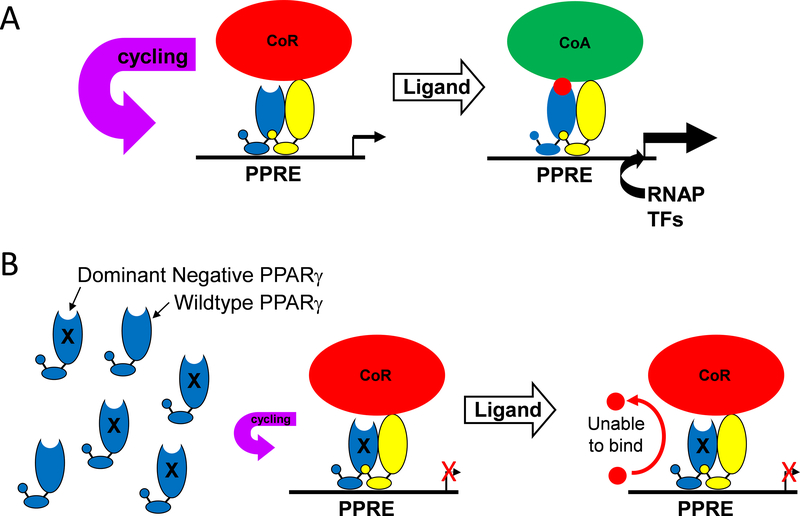 Figure 2: