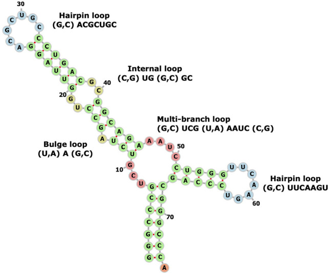 FIGURE 2.