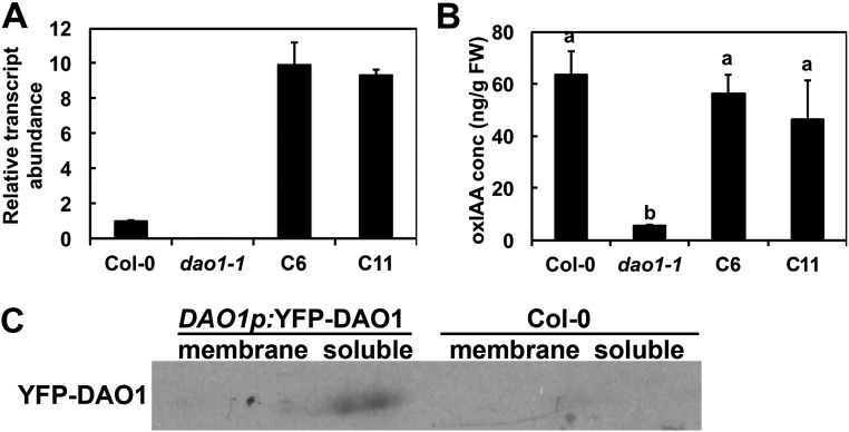 Fig. S5.