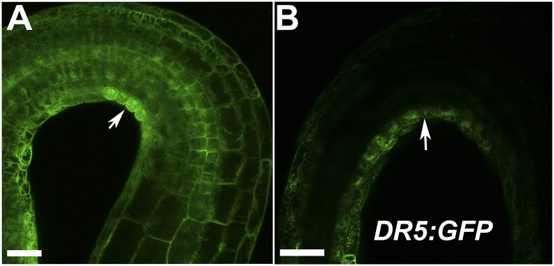 Fig. S14.