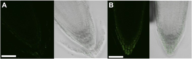 Fig. S15.