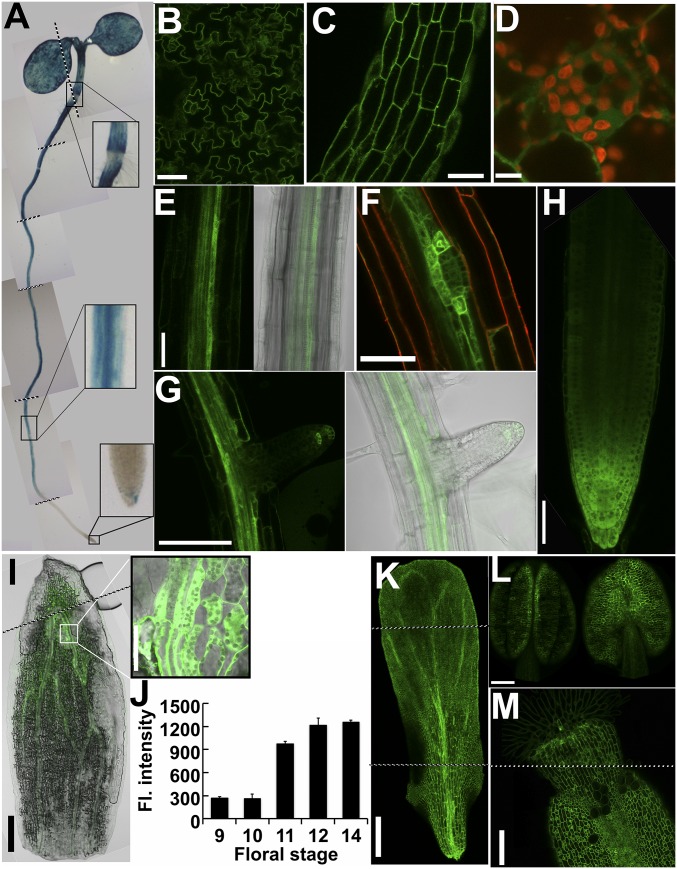 Fig. 5.