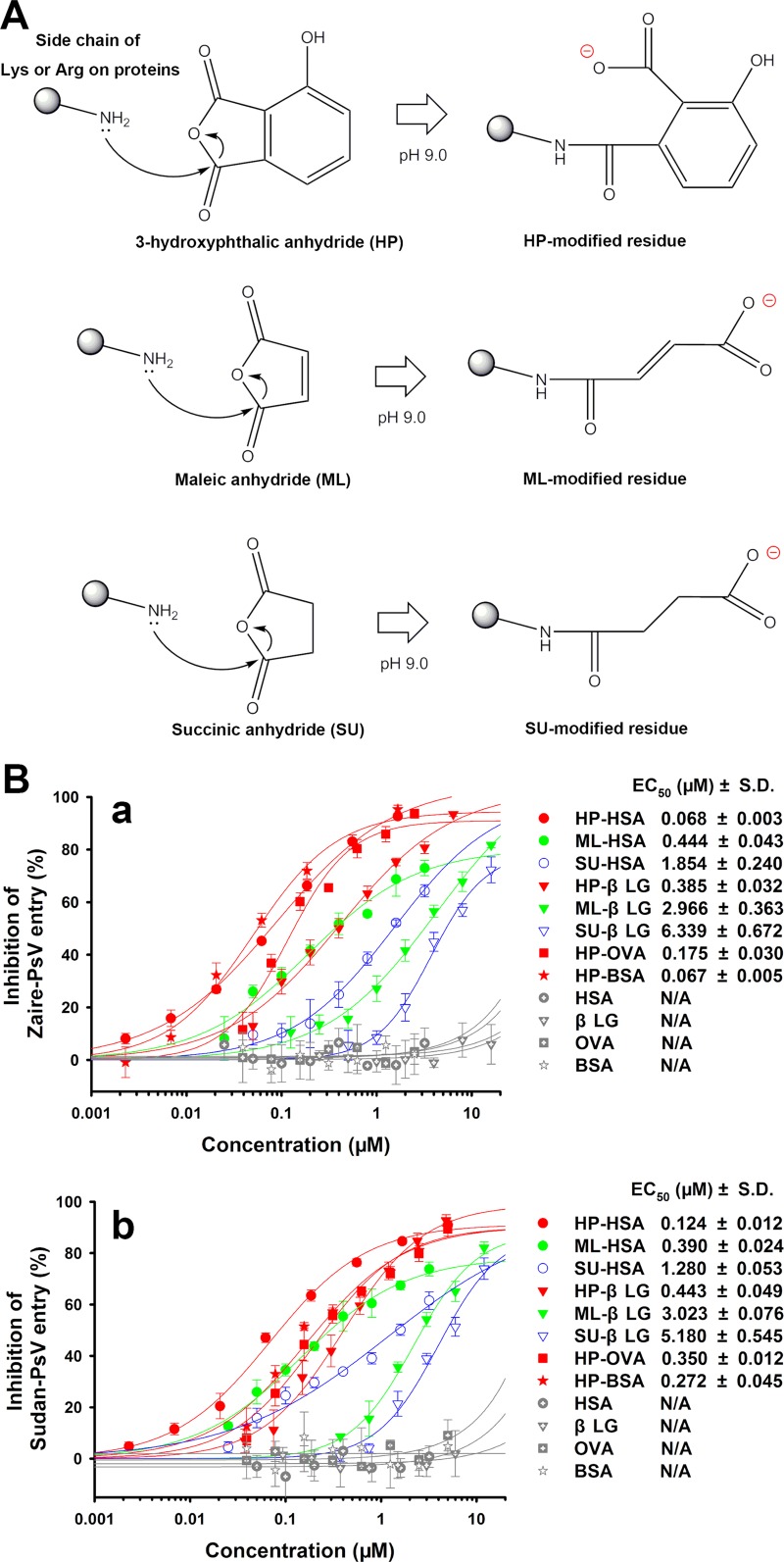 FIG 1