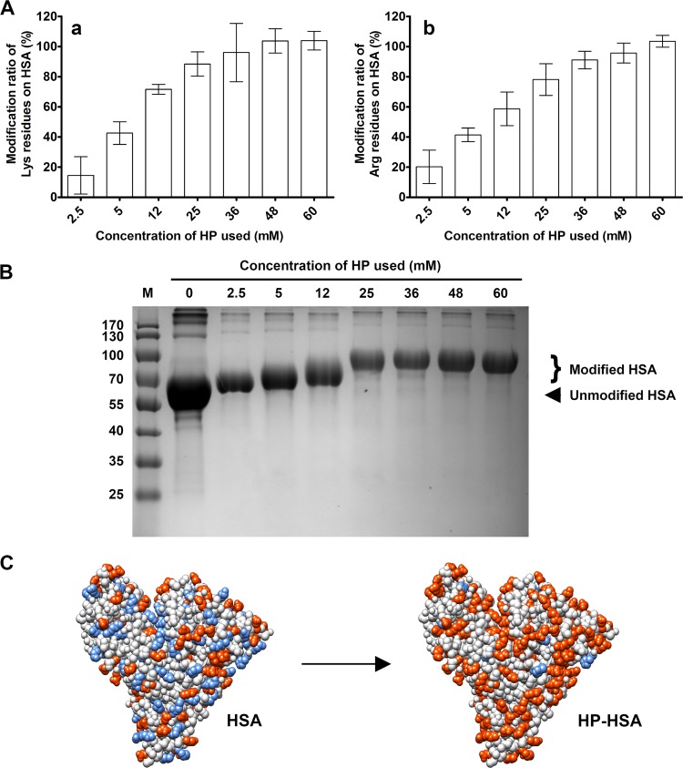 FIG 2