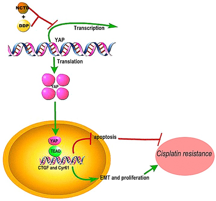 Figure 7.