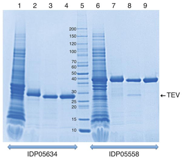 Fig. 2