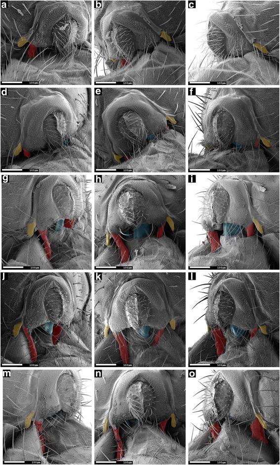 Fig. 8