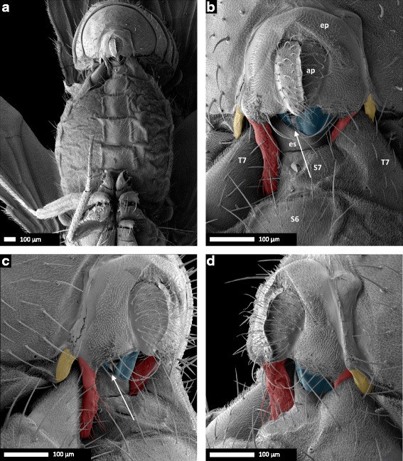 Fig. 5