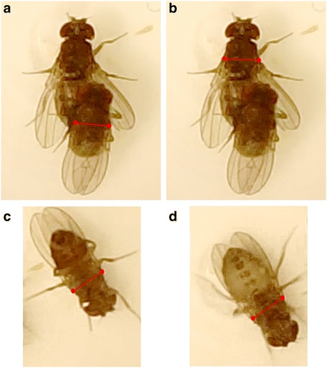 Fig. 9